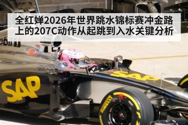 全红婵2026年世界跳水锦标赛冲金路上的207C动作从起跳到入水关键分析